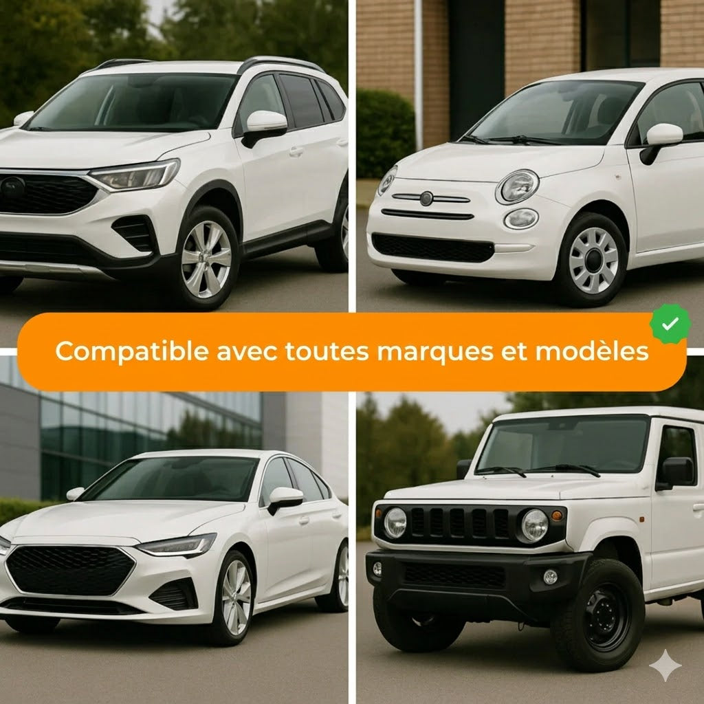Amplificateur d'antenne de voiture Requin – réception radio supérieure