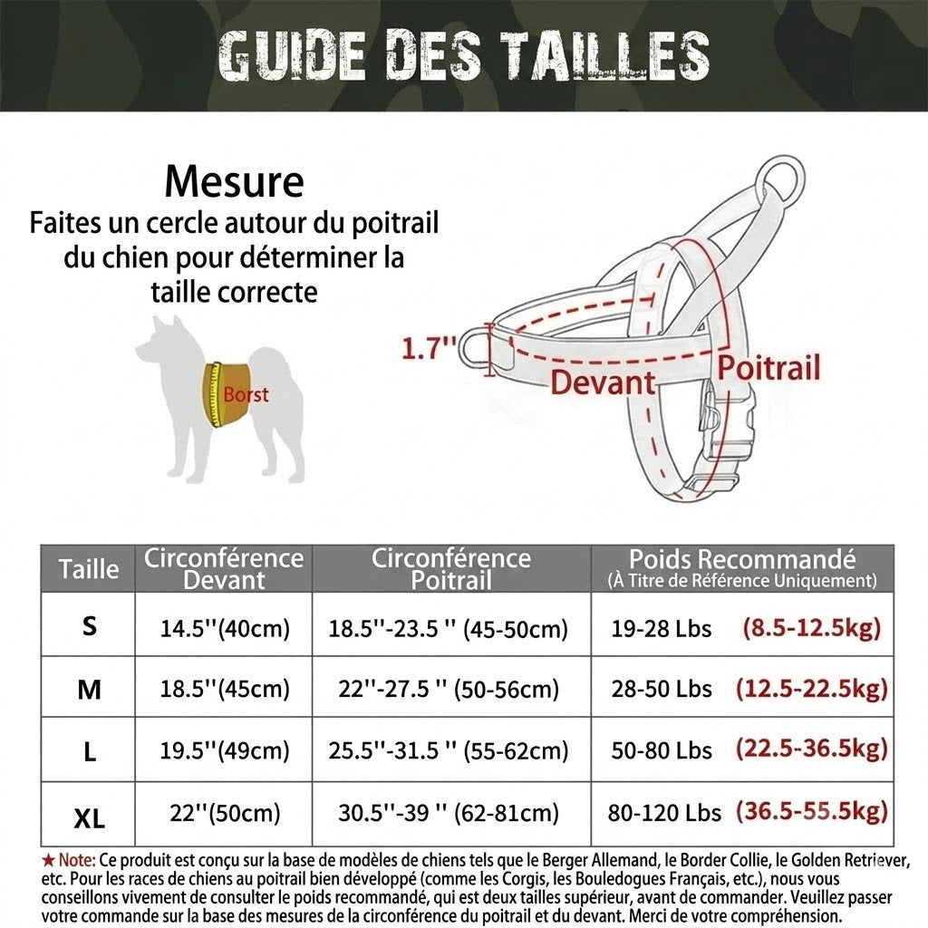 Harnais tactique robuste pour chien avec poignée