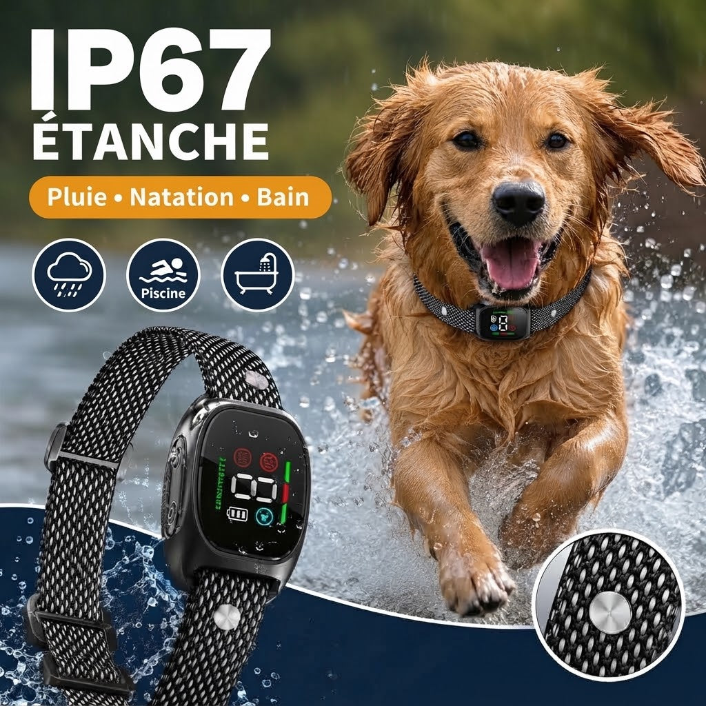 Collier anti-aboiement intelligent pour chiens