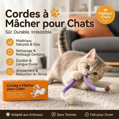 Jouet en corde à mâcher pour chat