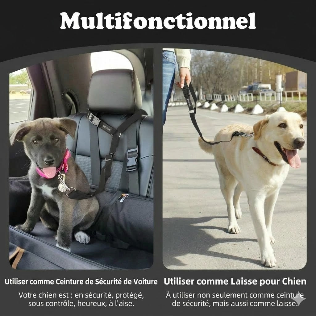Ceinture de sécurité et laisse pour chien 2-en-1