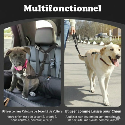 Ceinture de sécurité et laisse pour chien 2-en-1