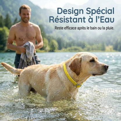Collier anti-puces et anti-tiques pour animaux de compagnie