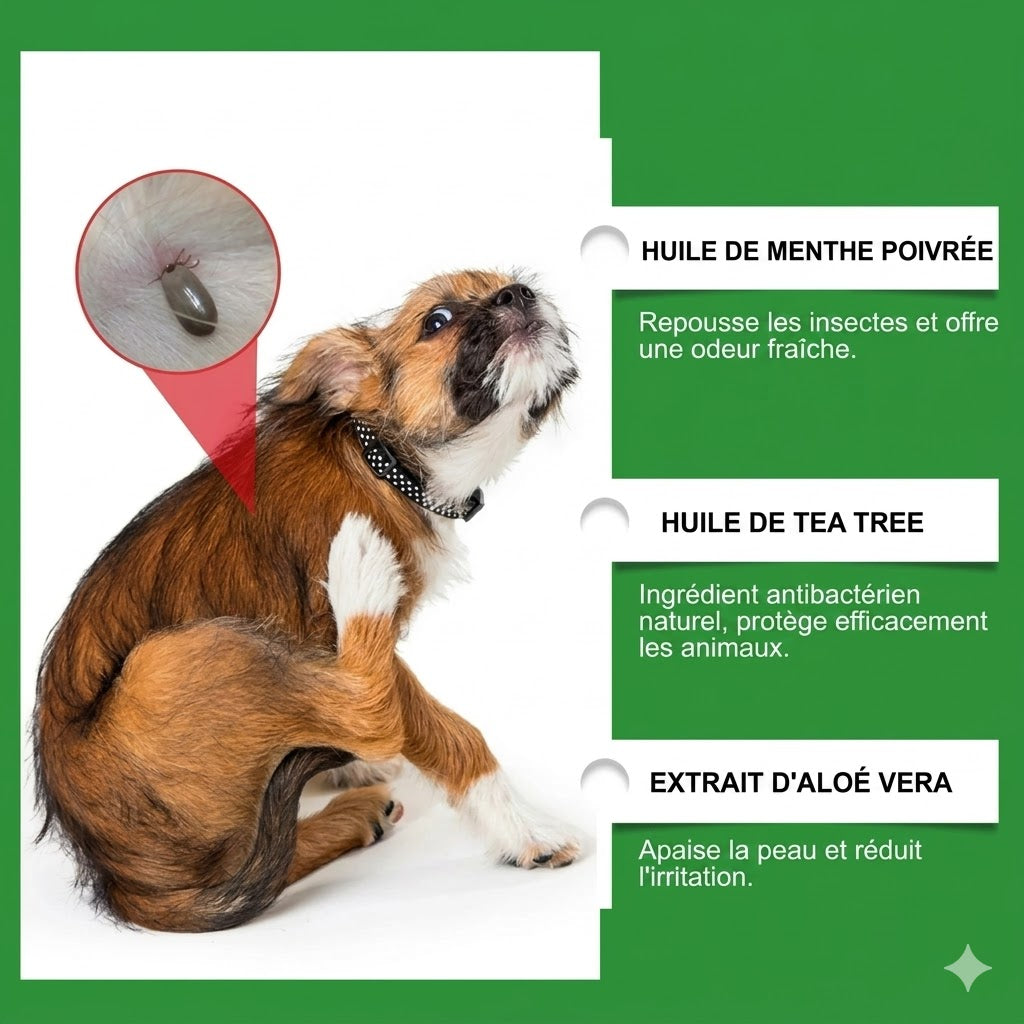 Spray anti-puces et anti-tiques naturel pour chiens et chats