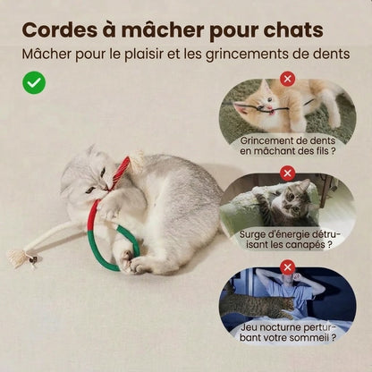Jouet en corde à mâcher pour chat