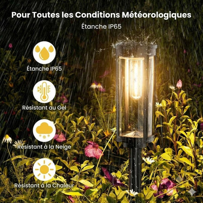 Éclairage Solaire pour Jardin – Design Rétro, 12 à 14 Heures d'Éclairage & Étanchéité IP65