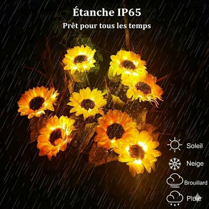 Lampes solaires étanches（3 Lampes de tournesol）