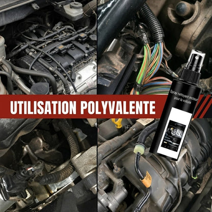 Spray nettoyant pour moteur