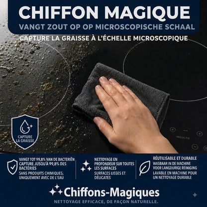 Lot de 10 chiffons en microfibre