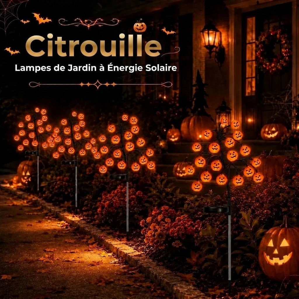 Lampes de jardin solaires en forme de citrouille