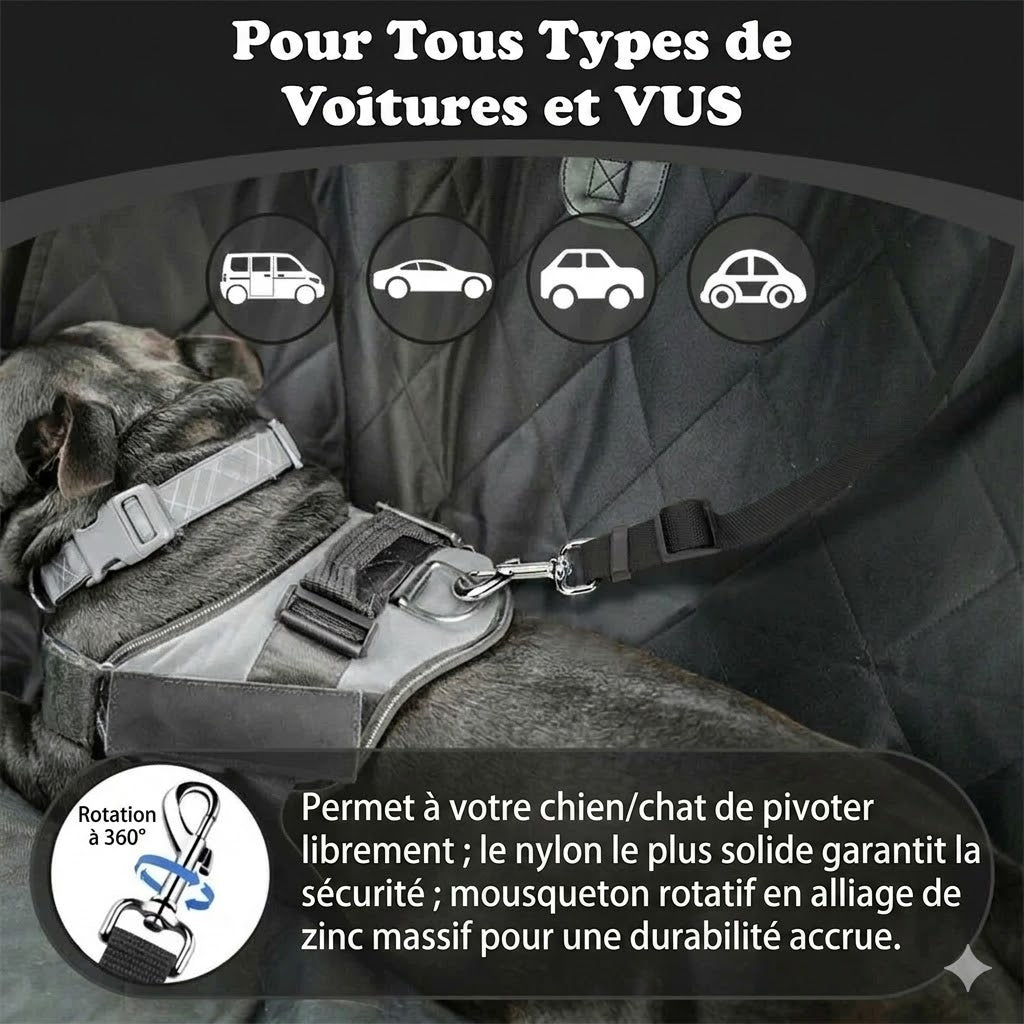Ceinture de sécurité et laisse pour chien 2-en-1