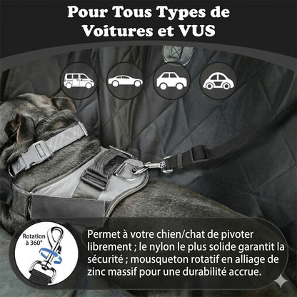 Ceinture de sécurité et laisse pour chien 2-en-1