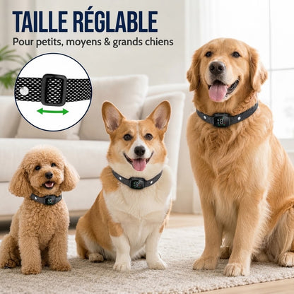 Collier anti-aboiement intelligent pour chiens