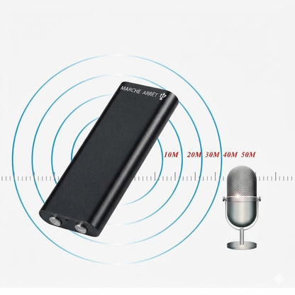 Mini-enregistreur vocal