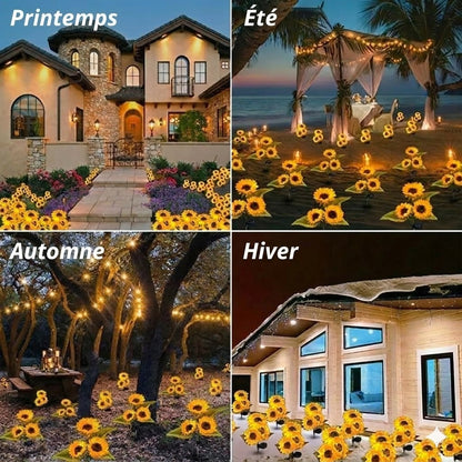 Lampes solaires étanches（3 Lampes de tournesol）