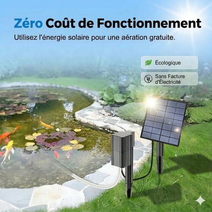 Aérateur de bassin solaire – Apporte de l'oxygène en continu pour les poissons et les plantes
