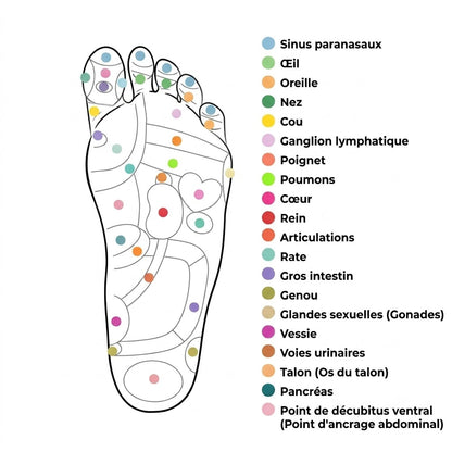 Semelles Magnétiques d’Acupression Medivital
