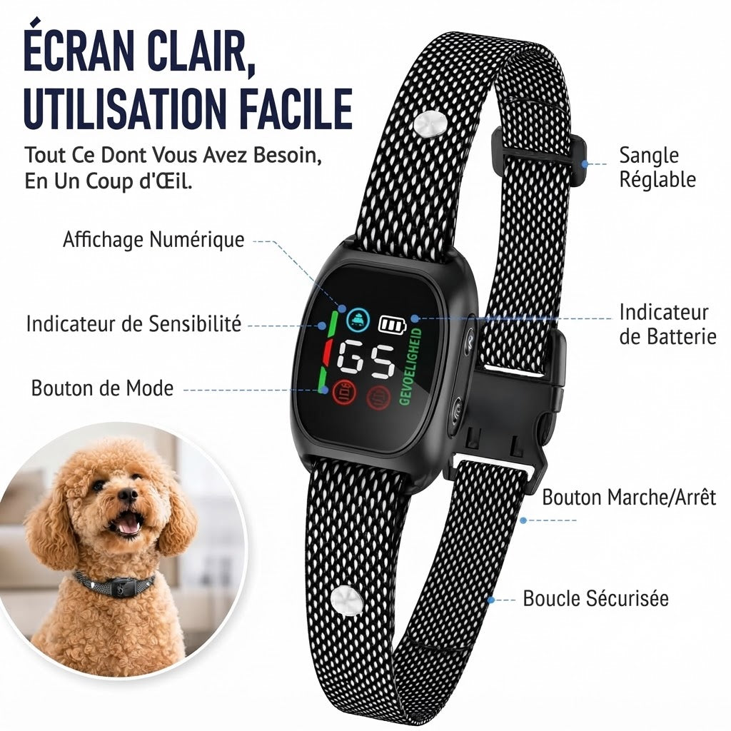 Collier anti-aboiement intelligent pour chiens