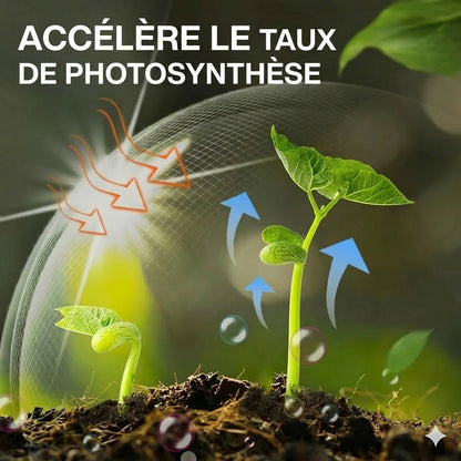 Engrais liquide pour plantes