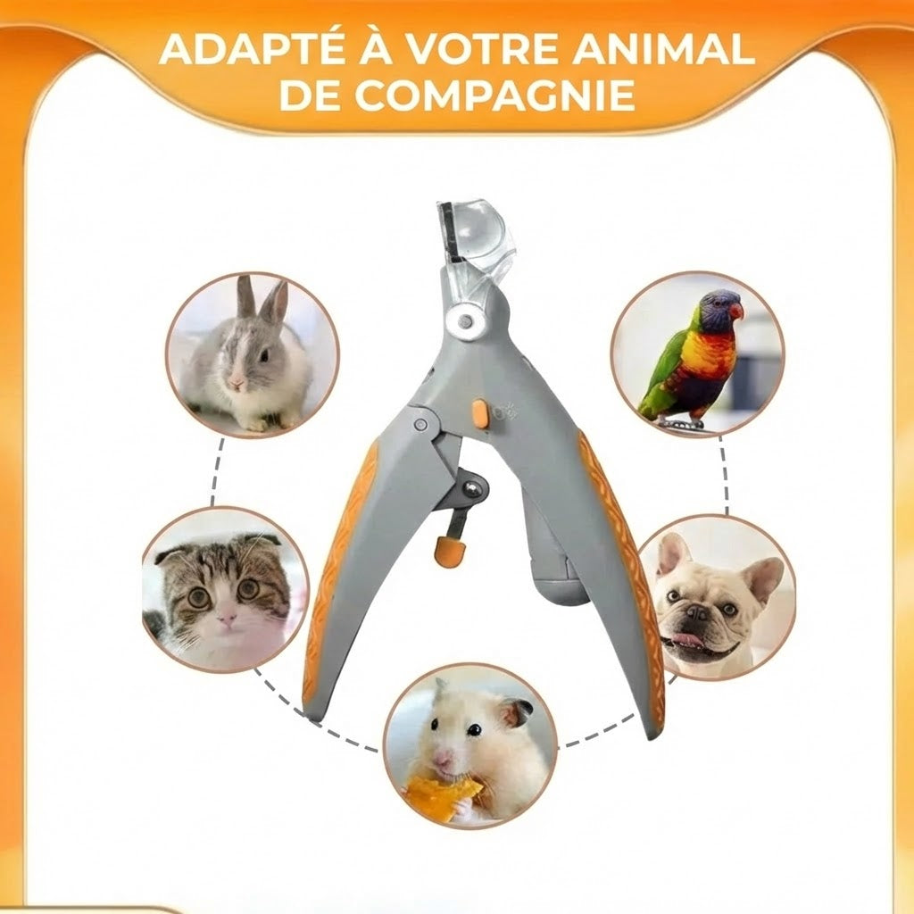 Coupe-ongles LED pour animaux