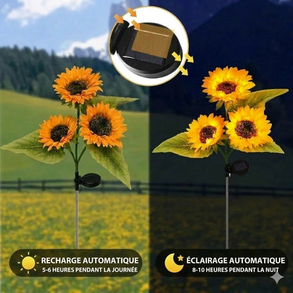 Lampes solaires étanches（3 Lampes de tournesol）