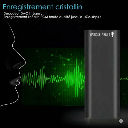 Mini-enregistreur vocal