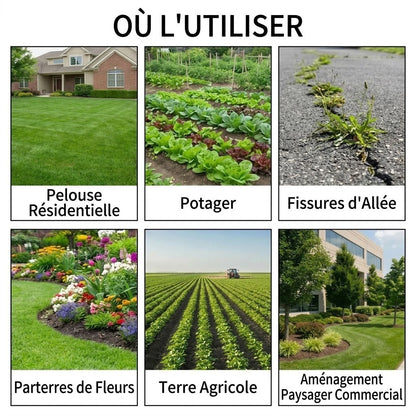 Désherbeur 2 en 1 pour jardin et terrasse