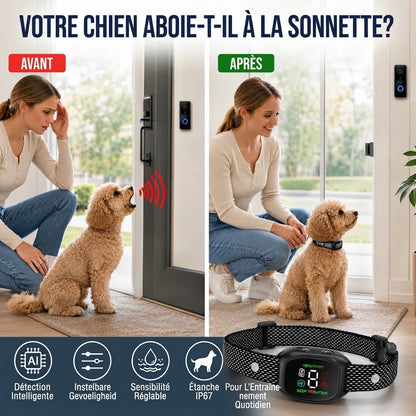 Collier anti-aboiement intelligent pour chiens