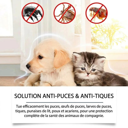 Spray anti-puces et anti-tiques naturel pour chiens et chats