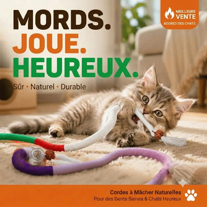 Jouet en corde à mâcher pour chat