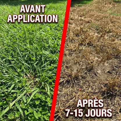 Désherbeur 2 en 1 pour jardin et terrasse