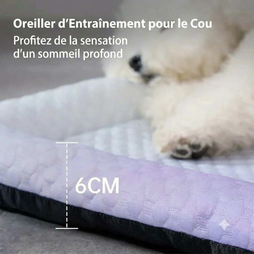 Tapis rafraîchissant en soie glacée pour chien et chat