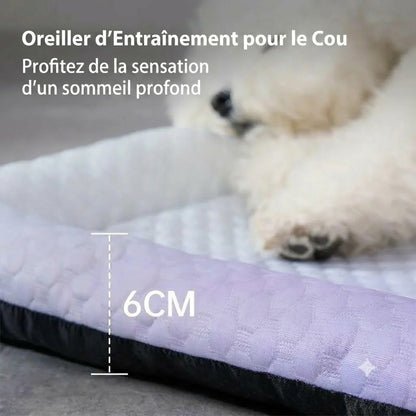 Tapis rafraîchissant en soie glacée pour chien et chat