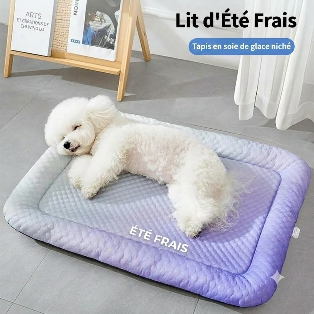 Tapis rafraîchissant en soie glacée pour chien et chat