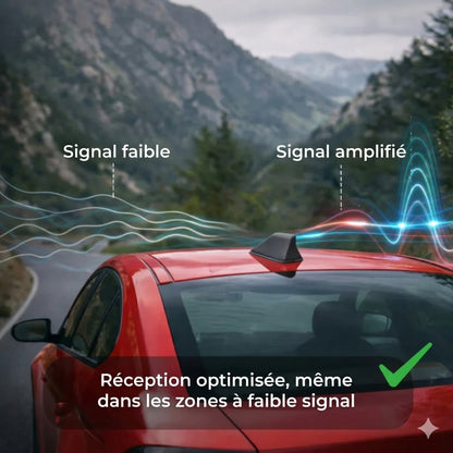 Amplificateur d'antenne de voiture Requin – réception radio supérieure