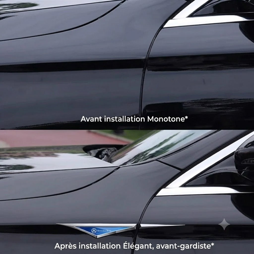 Emblème de voiture unique – Donnez un look élégant à votre voiture