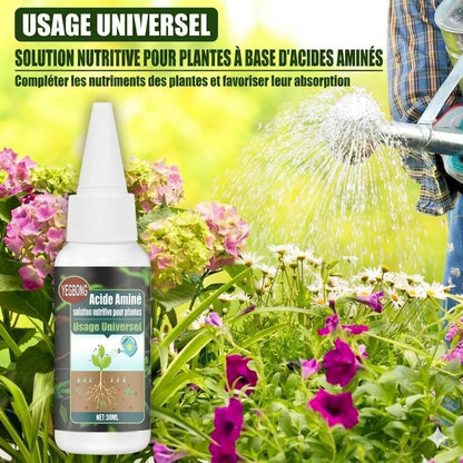 Engrais liquide pour plantes