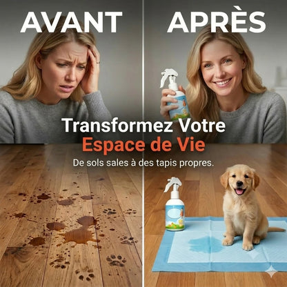 Ce spray attire votre chien ou votre chat au bon endroit