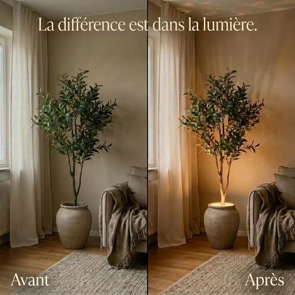 Éclairage sans fil pour plantes avec télécommande