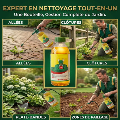Désherbeur 2 en 1 pour jardin et terrasse
