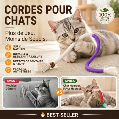 Jouet en corde à mâcher pour chat