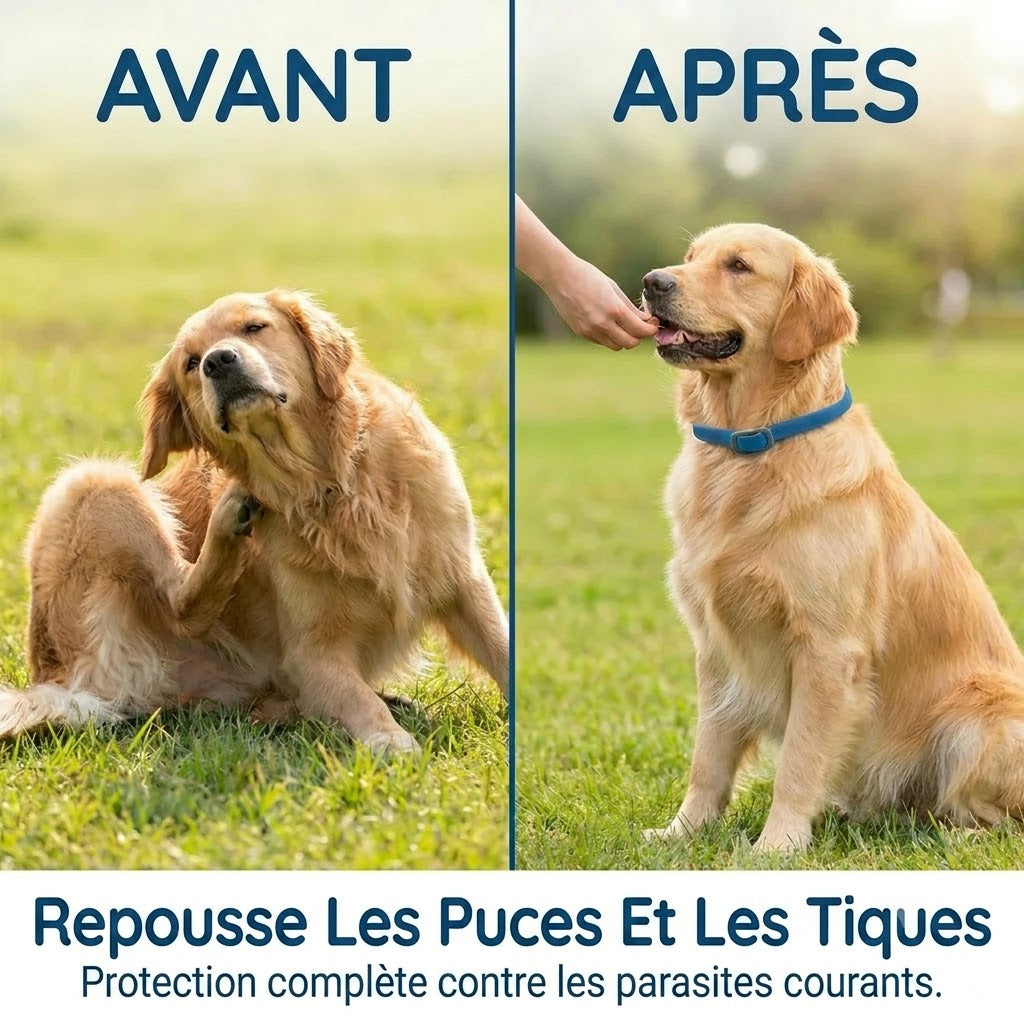 Collier anti-puces et anti-tiques pour animaux de compagnie