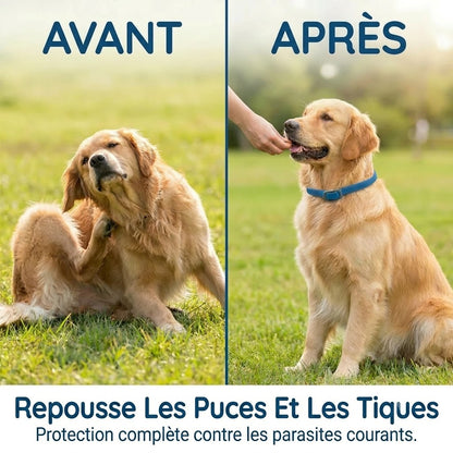 Collier anti-puces et anti-tiques pour animaux de compagnie