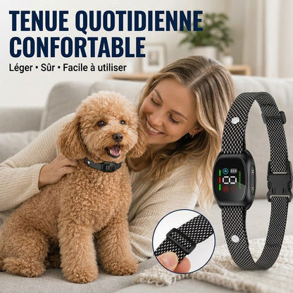 Collier anti-aboiement intelligent pour chiens