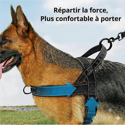 Harnais tactique robuste pour chien avec poignée