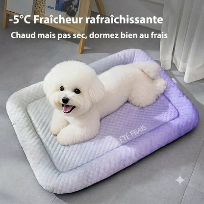 Tapis rafraîchissant en soie glacée pour chien et chat