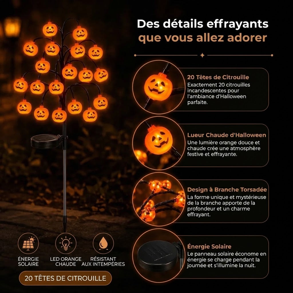 Lampes de jardin solaires en forme de citrouille