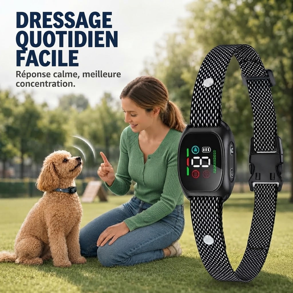 Collier anti-aboiement intelligent pour chiens