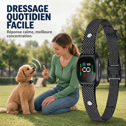 Collier anti-aboiement intelligent pour chiens