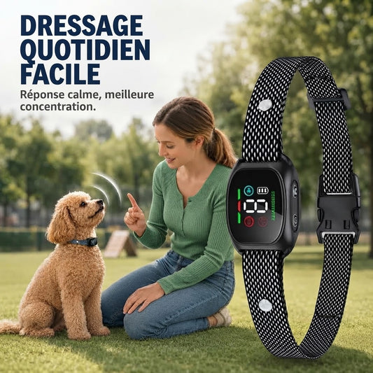 Collier anti-aboiement intelligent pour chiens
